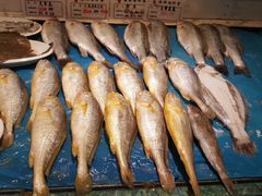 -黑石礁酒楼·海鲜(黑石礁店)
