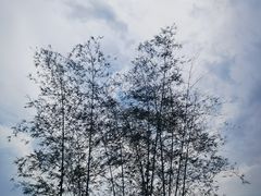 -潜口民宅博物馆