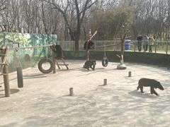 -西安秦岭野生动物园