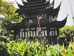 -韩湘水博园