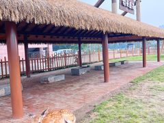 -唐山河头老街国丰维景度假大酒店