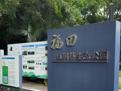 -福田红树林生态公园