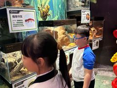 -正佳雨林生态植物园