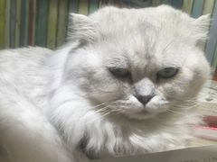 -小时光咖啡馆(开森度假森林店)