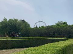 -富斯特索道