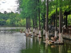 -东莞市可园博物馆