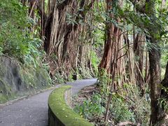 -太平山顶