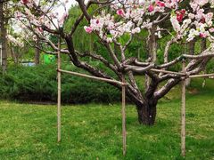 -廊坊文化艺术中心