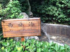 -西安国际创新人才交流中心•药浴温泉
