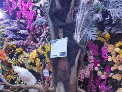 -正佳雨林生态植物园