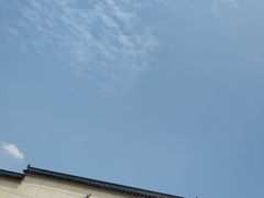 -平望服务区·停车场