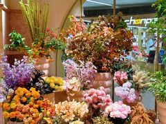 -BEAST野兽派(上海浦东嘉里城店)