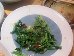 -鸽子窝(宋庄店)