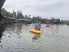 -枫香湖儿童公园