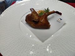 -诺莱仕游艇会