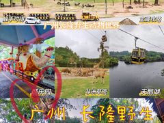 -广州长隆野生动物世界