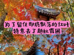 -秋霞圃