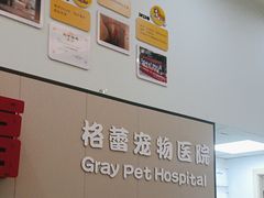 -格蕾宠物医院24H·猫科·肿瘤科·骨科中心(福州总院)