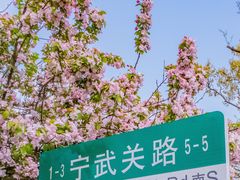 -八大关景区