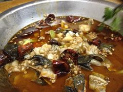 牛蛙-乐友川味家常菜馆