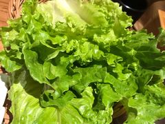 新鲜生菜-千寻烧肉(政务区店)