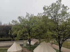 -洛阳市隋唐城遗址植物园