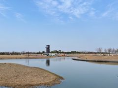 -春花秋色城市公园