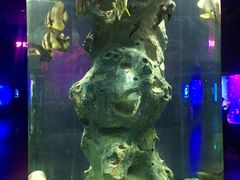 -福州罗源湾海洋世界旅游区