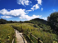 -白草畔自然风景区