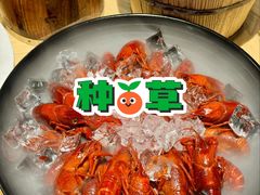 -怪怪龙虾·来自江苏盱眙(惊驾路店)
