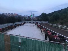 -鼎盛王朝康熙大典实景演出