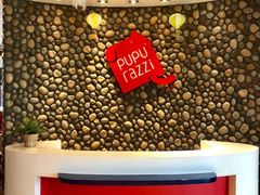 -帕帕拉兹宠物(亚洲旗舰店)