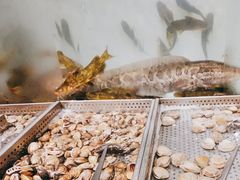 -金滏山烤肉·海鲜·火锅自助餐厅(襄阳万达店)