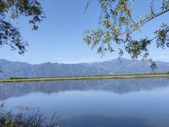 -野鸭湖国家湿地公园