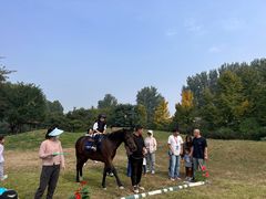 -上林马术中央公园·户外露营·团建·骑乘