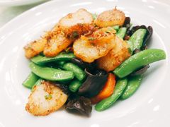 甜蜜豆炒澳洲带子-庄隐阁(悠方广场店)