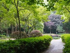 -赭山公园