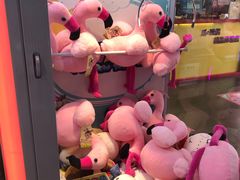 -PAWTOY爪e玩偶店(天兴罗斯福店)