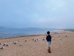 -海驴岛(荣成市)