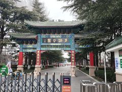 -莱西月湖公园