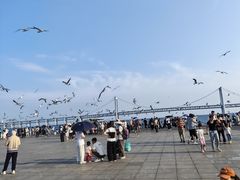 -星海广场