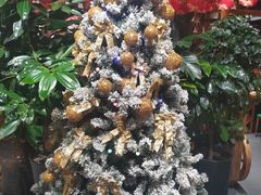 -草原塞蛮羊火锅城(港湾店)