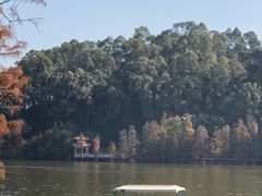 -东莞市虎英郊野公园