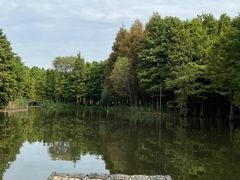 -尚湖风景区