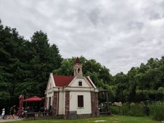 -上海共青森林公园