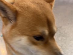 -宠物世家(仲盛世界商城店)