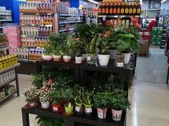 -联华超市(新闸路店)