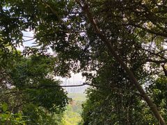-广州市白云山风景名胜区