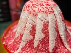 -牛New寿喜烧(金鹰世界店)