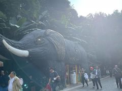 -野象谷景区